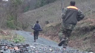 ORDU DOMUZ AVI