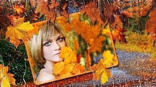 Проект-ProShow -Желтоглазая осень
