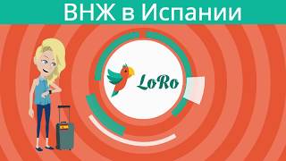 Explainer video. 2d animation. Анимационные видео. Создание видеороликов. Ролики [Лоро]