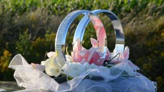 Autoschmuck Wedding Cardecor  Autodeko Hochzeit Eheringe Mieten Vermietung Seidenblumen