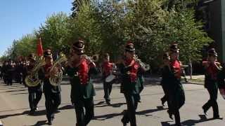 Парад в Новой Усмани на 70-летие Победы 9.05.2015