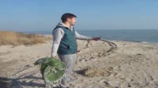 Как забрасывать кастинговую сеть с большим двойным кольцом