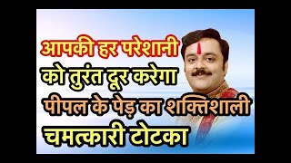पीपल के पेड़ के शक्तिशाली टोटके चमकाएंगे किस्मत। पीपल के पेड़ का टोटका। Peepal Ke Ped Ka Totka
