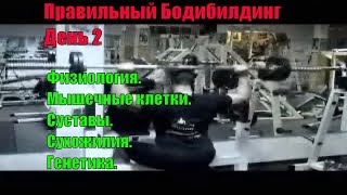 Физиология. Мышечные клетки. Суставы. Сухожилия. Генетика. Правильный Бодибилдинг 2