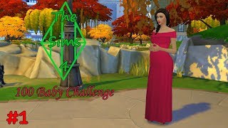 Слайд-шоу The Sims 4 100 baby challenge