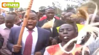 Kiminini MP goes down in dance during Bukusu Circumcision ritual