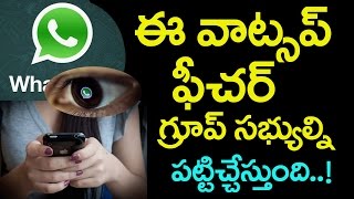 Whatsapp New Feature On Groups |Whatsapp Videos | Live Location | Taja30