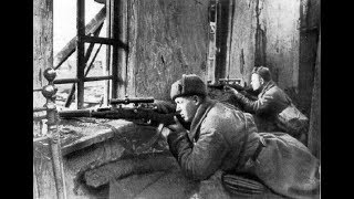 История противостояния советских и германских  снайперов во время Сталинградской битвы