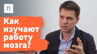 Работа мозга при решении когнитивных задач — Александр Храмов 