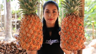 Yummy cooking BBQ beef with pineapple recipe - Natural Life TV Cooking