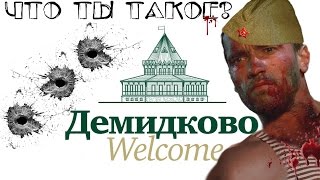 ДЕМИДКОВО - ЧТО ТЫ ТАКОЕ?