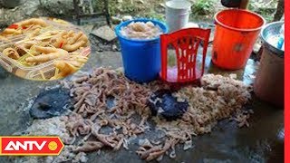 Chết Khiếp Nguyên Liệu Làm Chân Gà Sả Ớt Siêu Bẩn Bán Tràn Lan Thị Trường | AN TOÀN SỐNG | ANTV