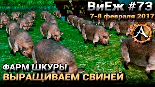 ArcheAge 3.0. ВиЕж #73. Фармим шкуру. Выращиваем свиней