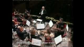 [11] Concerto di Capodanno - Johann Strauss jr., Tritsch-Tratsch Polka
