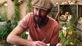 Potager d'hiver : beau et bon !