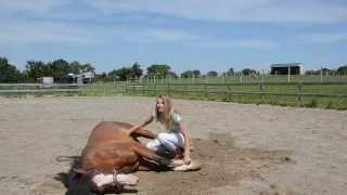 How To Teach Your Horse To Lay Down