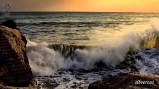 Feelings.Чувства.Саксофон и море.Saxophone( Relaxing music)