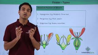 Flower - Types