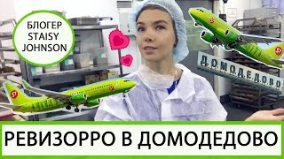 Я - РЕВИЗОРРО В АЭРОПОРТУ ДОМОДЕДОВО !