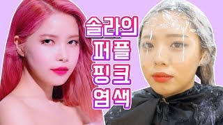 귄펭 마마무 솔라머리 도전기!! 퍼플+베이비핑크 염색!! 이 머리 소화가능할까??&탈색 몇번해야해?? 솔라가 되어보자!!-[feat.로미쌤]]- [귄펭]