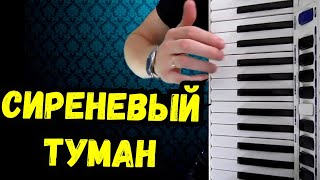 Сиреневый Туман На Аккордеоне | Баянист Гармонист Песни | Музыка Для Всех