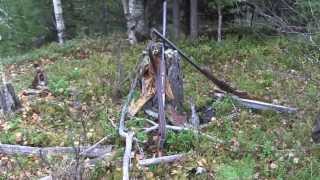 Grytjakt på grävling