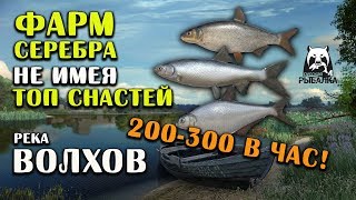РУССКАЯ РЫБАЛКА 4. Волхов - Фарм серебра. Ловим Подуста, Рыбца и Белоглазку