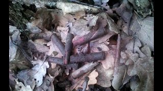 Коп металлоискателем Пират - Монеты СССР и Эхо Войны