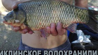 Ириклинское водохранилище - рыбалка на выходных