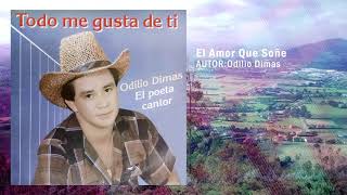 Todo Me Gusta De Ti – Odiio Dimas | Música Llanera