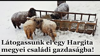 Székelyföld - Látogatás egy Hargita megyei családi gazdaságban