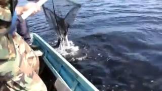 Подборка рыболовных приколов
