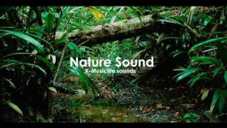 Nature Sound 3 - THE MOST RELAXING SOUNDS -