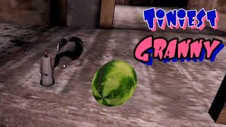 Tiniest Granny Full Gameplay