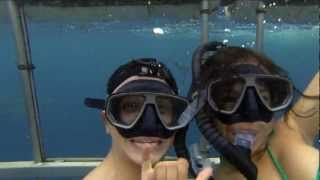 GoPro Shark Cage Diving
