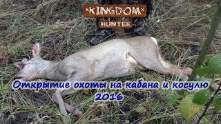 Открытие сезона охоты на кабана и косулю 2016.