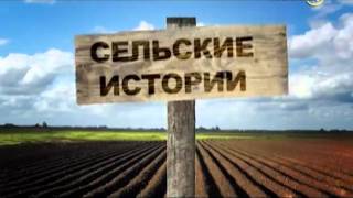 Сельские истории с Сергеем Курочкиным. Макароны