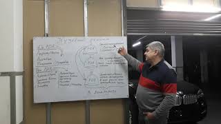 Обучение удалению вмятин без покраски в Днепре