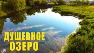 Ловля КАПРИЗНОГО ЛЕТНЕГО КАРАСЯ на МАНКУ с ЧЕСНОКОМ