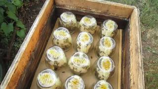 Главный медосбор с применением изоляторов Хмары