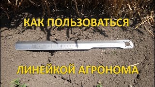 Линейка агронома - варианты применения
