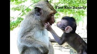 Natural Love Sweet Kiss Baby Daniela And Orphan Monkey Jessie/Special Day Poor Daniela,Monkey Video