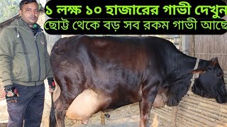 ১ লক্ষ টাকায় গাভী পাবেন এ খামারে ছোট্ট থেকে বড় সব রকম গাভী আছে সিমি ডেইরী ফার্ম  ০১৭১২৪২৬০৯০