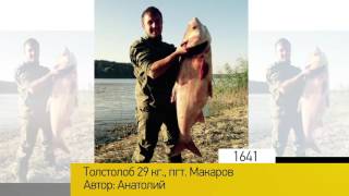 Фотоальбом - Рыбалка №328