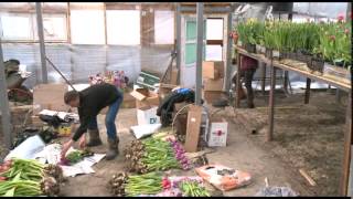 «Сельский порядок». Разведение экзотических птиц (25.02.2015)
