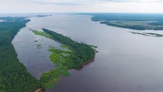 Биолог Кузнецов о Рыбинском водохранилище