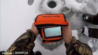 ПОДВОДНЫЕ КАМЕРЫ ДЛЯ РЫБАЛКИ - камера КАЛИПСО (CALYPSO) подводное видео КАРПОВ ПРУД фильмы ДИВЕРА