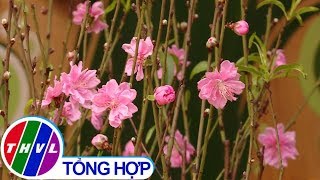 Chào buổi sáng (24/01/2020)
