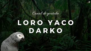 CANAL DE YOUTUBE ENCONTRARÁS CONSEJOS PARA TUS AVES ???