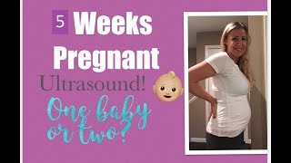 5 weeks pregnant ?? first ultrasound ?twins or no?